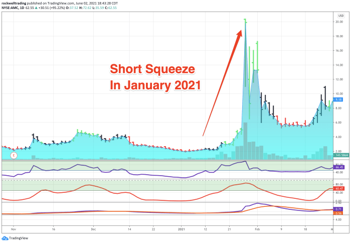 Amc stock target price