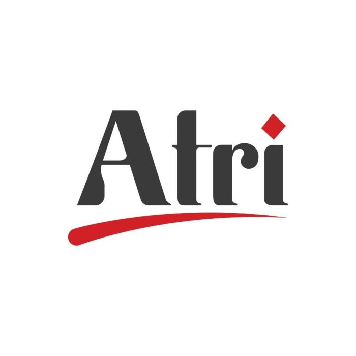 Atri stock price