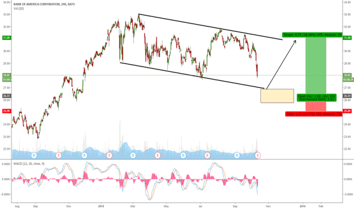 Bac nyse stock price